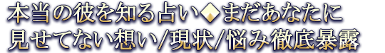本当の彼を知る占い◆まだあなたに見せてない想い/現状/悩み徹底暴露