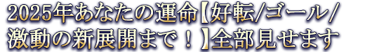 2025年あなたの運命【好転/ゴール/激動の新展開まで！】全部見せます