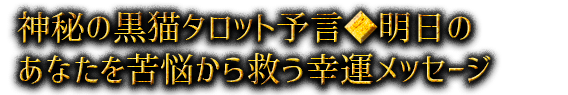 神秘の黒猫タロット予言◆明日のあなたを苦悩から救う幸運メッセージ