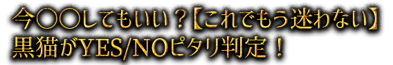 今○○してもいい？【これでもう迷わない】黒猫がYES/NOピタリ判定！