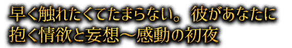 早く触れたくてたまらない。彼があなたに抱く情欲と妄想～感動の初夜