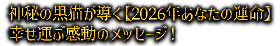 神秘の黒猫が導く【2026年あなたの運命】幸せ運ぶ感動のメッセージ！