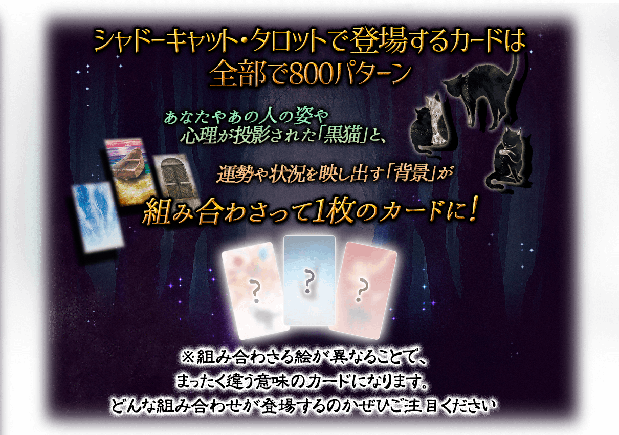 シャドーキャット・タロットで登場するカードは全部で800パターン あなたやあの人の姿や心理が投影された「黒猫」と運勢や状況を映し出す「背景」が組み合わさって1枚のカードに！ ※組み合わさる絵が異なることでまったく違う意味のカードになります どんな組み合わせが登場するのかぜひご注目ください