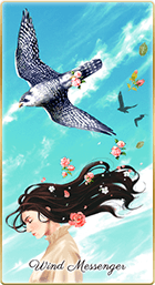風の使者