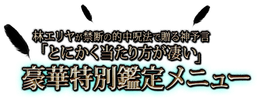 林エリヤが禁断の的中呪法で贈る神予言 「とにかく当たり方が凄い」 豪華特別鑑定メニュー