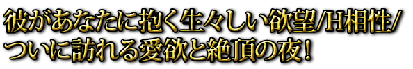 彼があなたに抱く生々しい欲望/H相性/ついに訪れる愛欲と絶頂の夜！