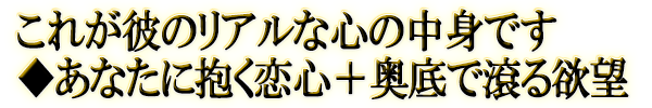 これが彼のリアルな心の中身です◆あなたに抱く恋心＋奥底で滾る欲望