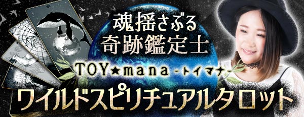 魂揺さぶる奇跡の鑑定士TOY★mana