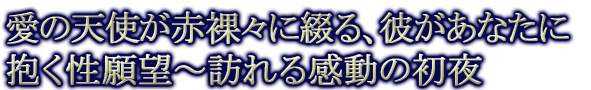 愛の天使が赤裸々に綴る、彼があなたに抱く性願望～訪れる感動の初夜