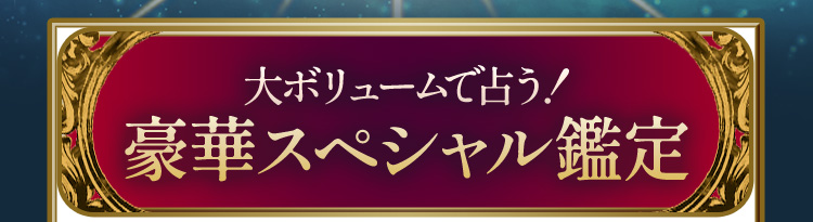 大ボリュームで占う!豪華スペシャル鑑定